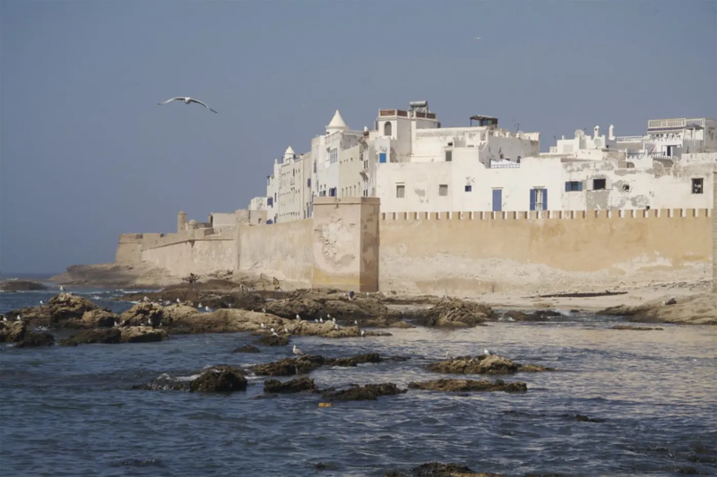 Dagtrip van Marrakech naar Essaouira